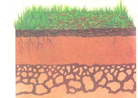 Нарисовать почву