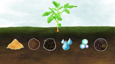 Рисовать почву