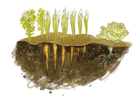 Рисунок почвы 3 класс