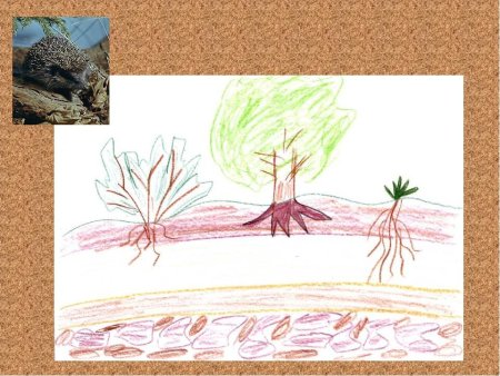 Зернышко в земле