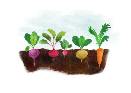 Удобрения на прозрачном фоне