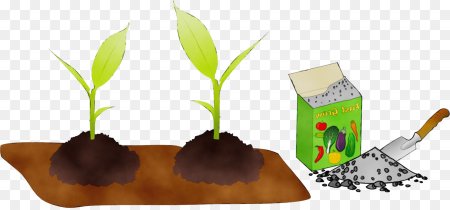 Норы Барсуков схема