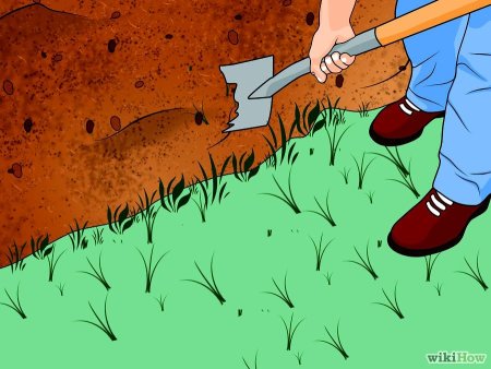 Нарисовать почву