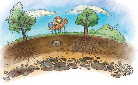 Почва иллюстрация