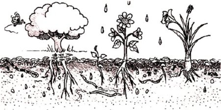 Рисунок на тему экология