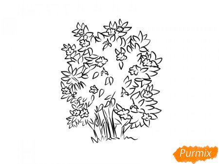 Шиповник Майский Фармакогнозия