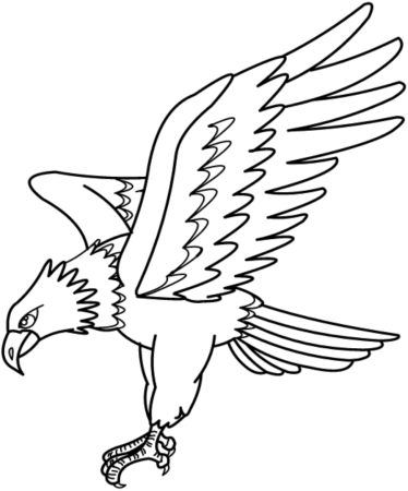 Ястреб раскраска