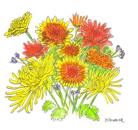 Цветок Хризантема для детей иллюстрации
