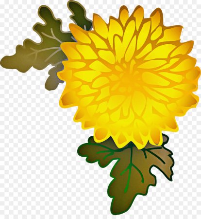 Хризантемы мультяшные