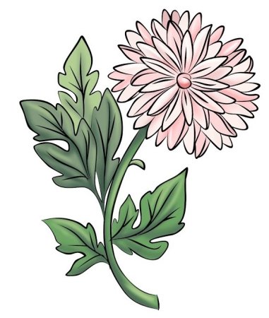 Хризантема мультяшная