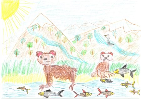 Остров Сахалин иллюстрации