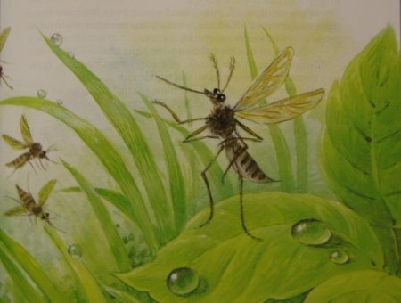 Сказка про козявочку мамин-Сибиряк рисунок