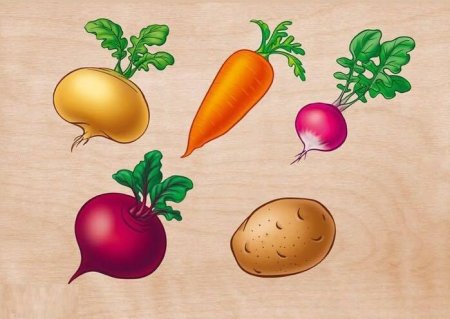 Овощи картинки для детей