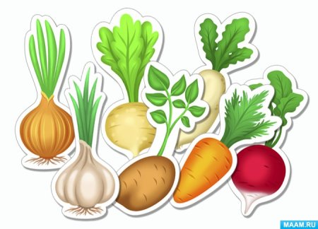 Вырезка овощей