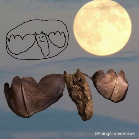 Детские рисунки животных в реальной жизни