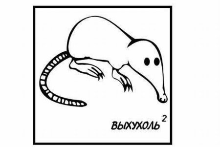 Выхухоль Болотная