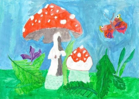 Рисование грибы подготовительная группа красками
