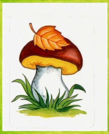 Гриб Боровик рисунок