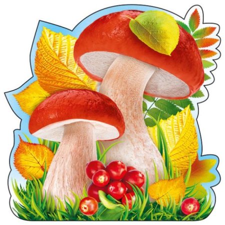 Грибы осенью для детей в детском саду