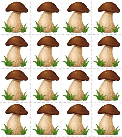 Раздаточный материал грибы