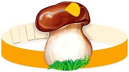 Ободок гриб Боровик