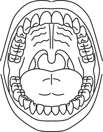 Челюсть раскраска для детей
