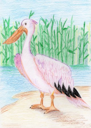 Пеликан мультяшный