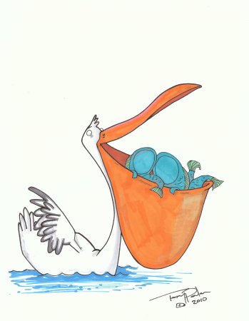 Пеликан сбоку птица