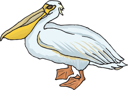 Пеликан картина