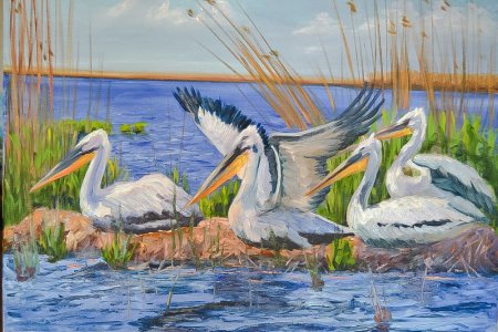 Пеликан мультяшный