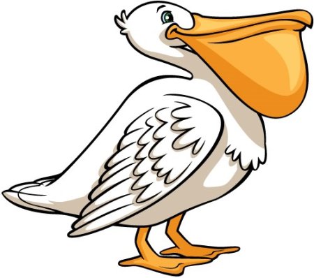 Нарисовать пеликана