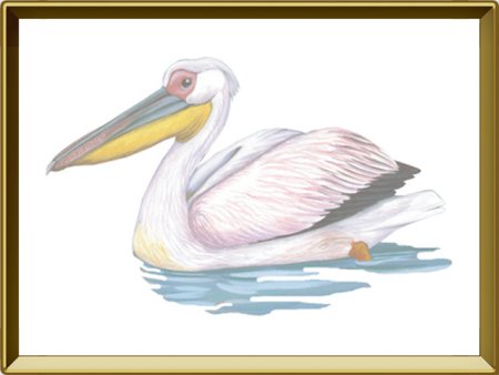 Пеликан мультяшный