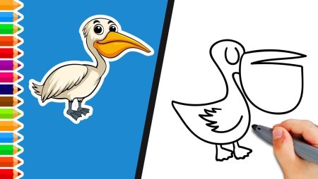 Пеликан мультяшный