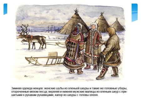 Народы Сибири в 17 в ненцы