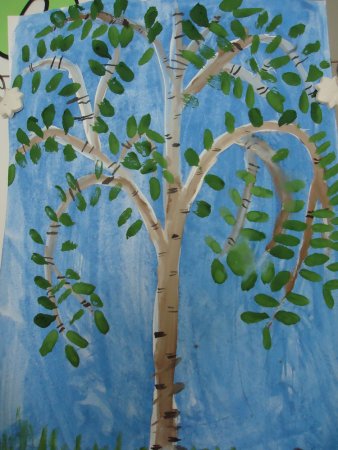 Береза в старшей группе