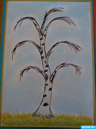 Рисование березы в старшей группе