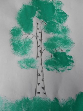 Рисование березы в старшей группе