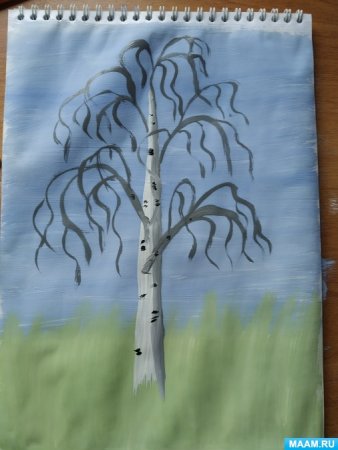 Береза рисунок