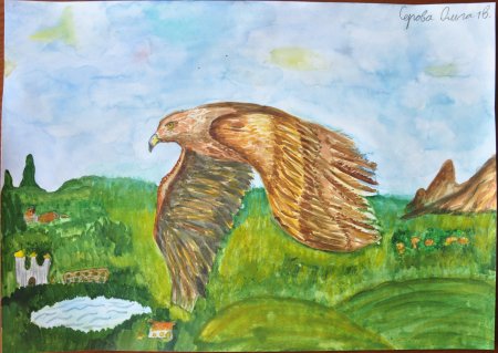 Беркут рисунок