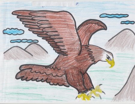 Орел птица в Башкирии