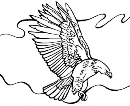 Eagle раскраска