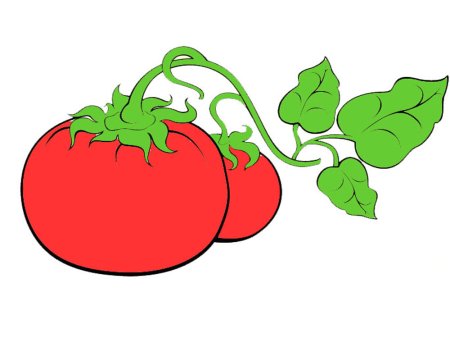 Овощи для детей помидор