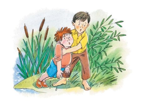 Иллюстрация к рассказу в. а. Осеевой отомстила