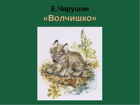 Евгений Чарушин « Волчишко и другие»