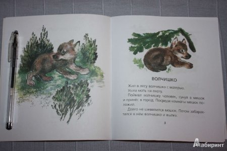 Евгений Чарушин « Волчишко и другие»