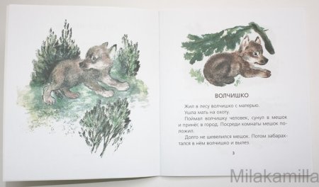 Чарушин Волчишко