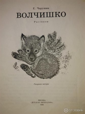 Евгения Ивановича Чарушина Волчишко
