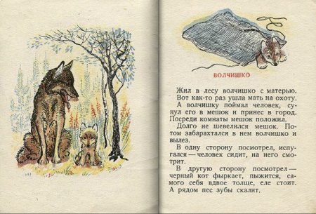 Чарушин Евгений Иванович Волчишко