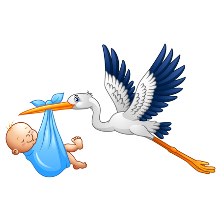 Аист несёт младенца