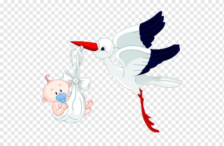 Аист с ребенком